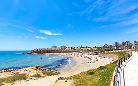 Roza Punta Prima